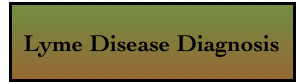 Lyme Disease Diagnosis