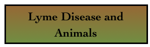 Lyme Disease and Animals