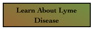 Learn About Lyme Disease