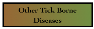 Other Tick Borne Diseases